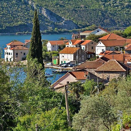Apartments Dinko Zifra Tivat Buitenkant foto