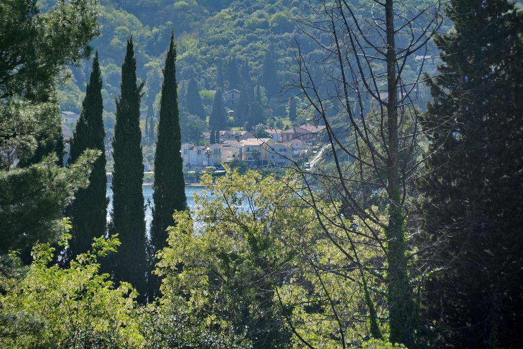 Apartments Dinko Zifra Tivat Buitenkant foto